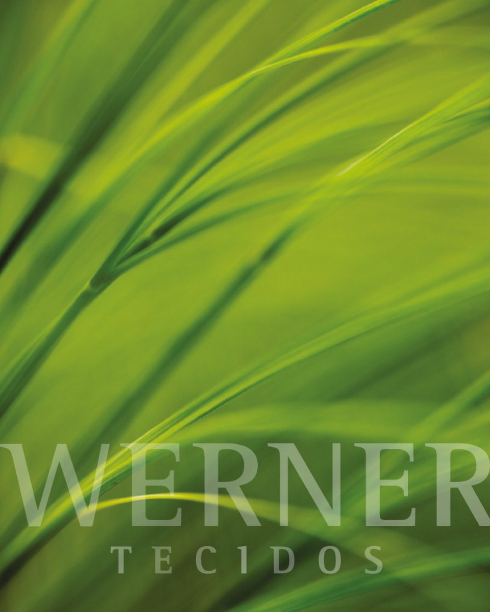 08_WERNER